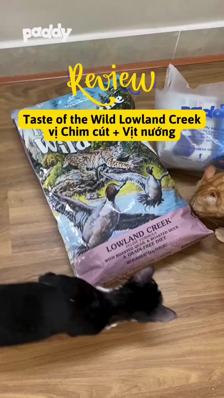 Hạt Tươi Taste Of The Wild Cho Mèo Lowland Vị Chim Cút & Vit