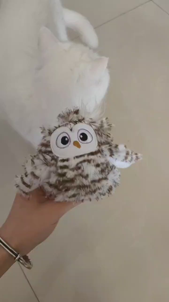 Đồ Chơi Cho Mèo Cảm Biến Hình Chim FOFOS