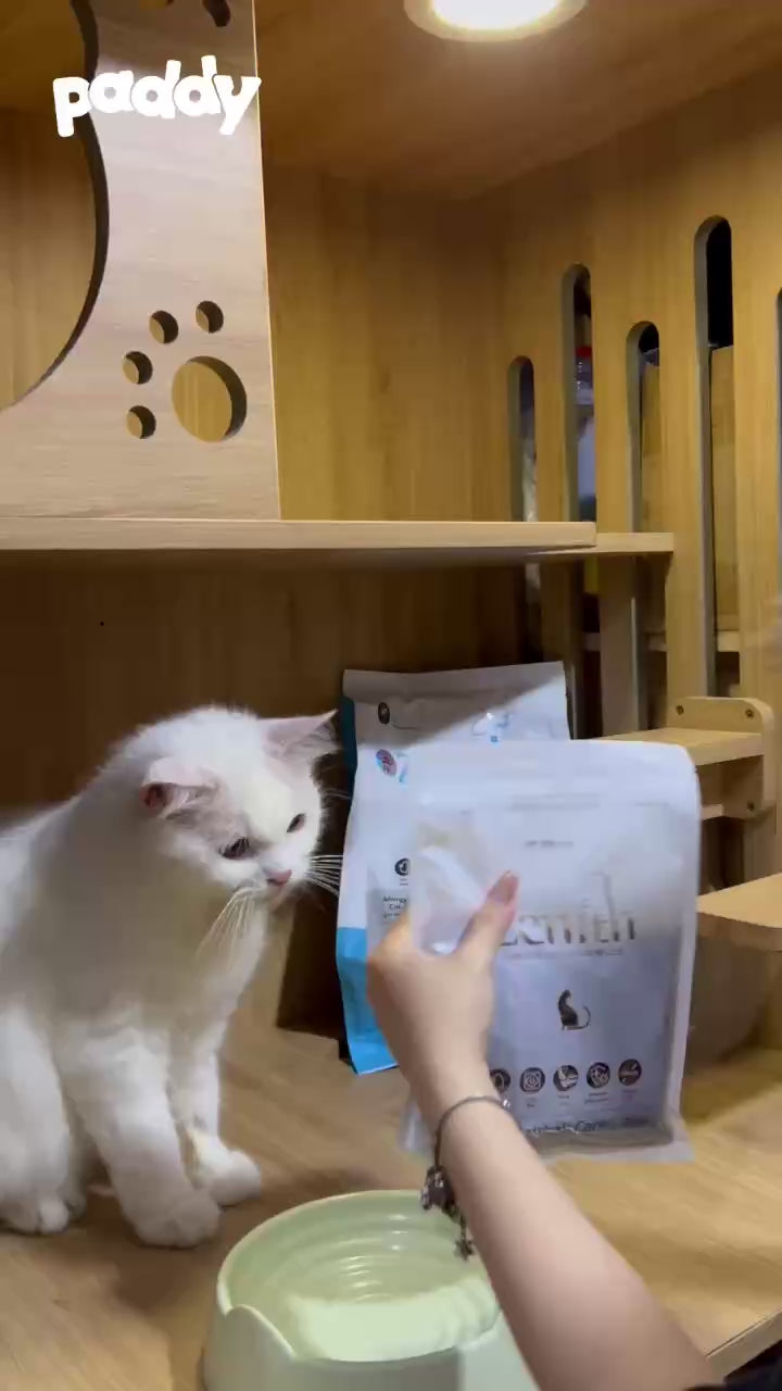 Hạt Mềm Cho Mèo Zenith Hairball Tiêu Búi Lông