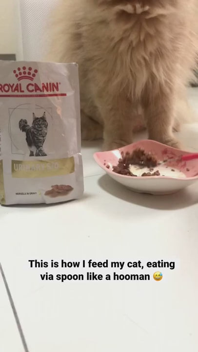 Pate Cho Mèo Sỏi Thận Royal Canin Urinary S/O Loaf 85g