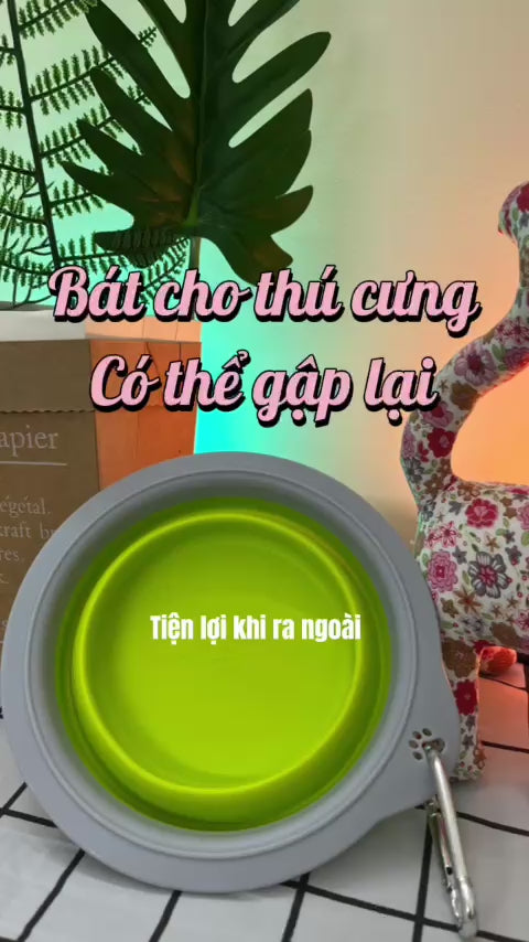 Bát Ăn Gấp Gọn Cho Chó Mèo FOFOS 500ml