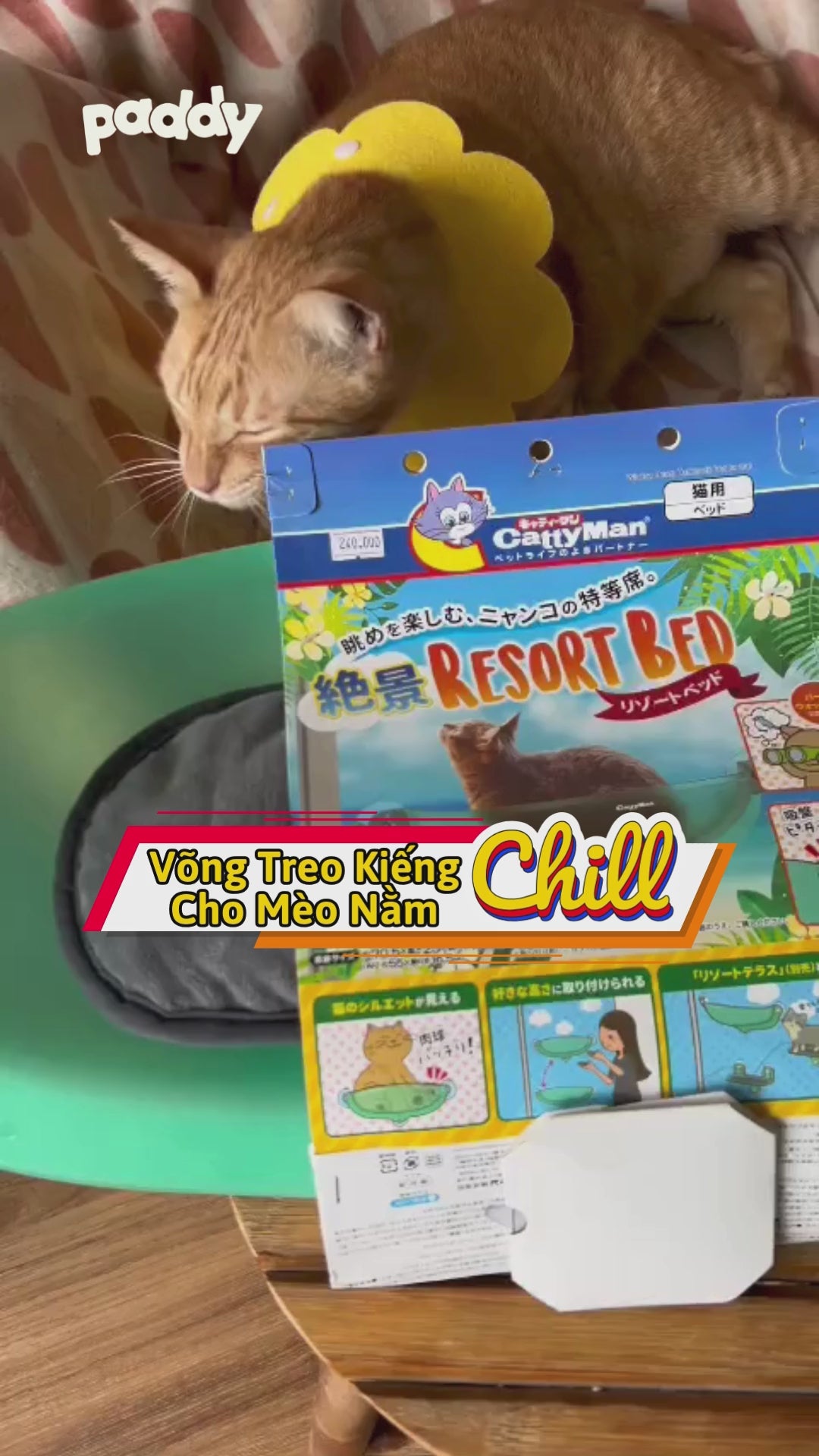 Võng Treo Kiếng CattyMan Cho Mèo <10kg