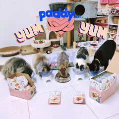 Pate Mèo Ron Ron Sốt Thịt Cá 75g - Paddy Pet Shop