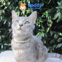 Vòng Cổ Ngọc Trai Cho Chó Mèo - Paddy Pet Shop