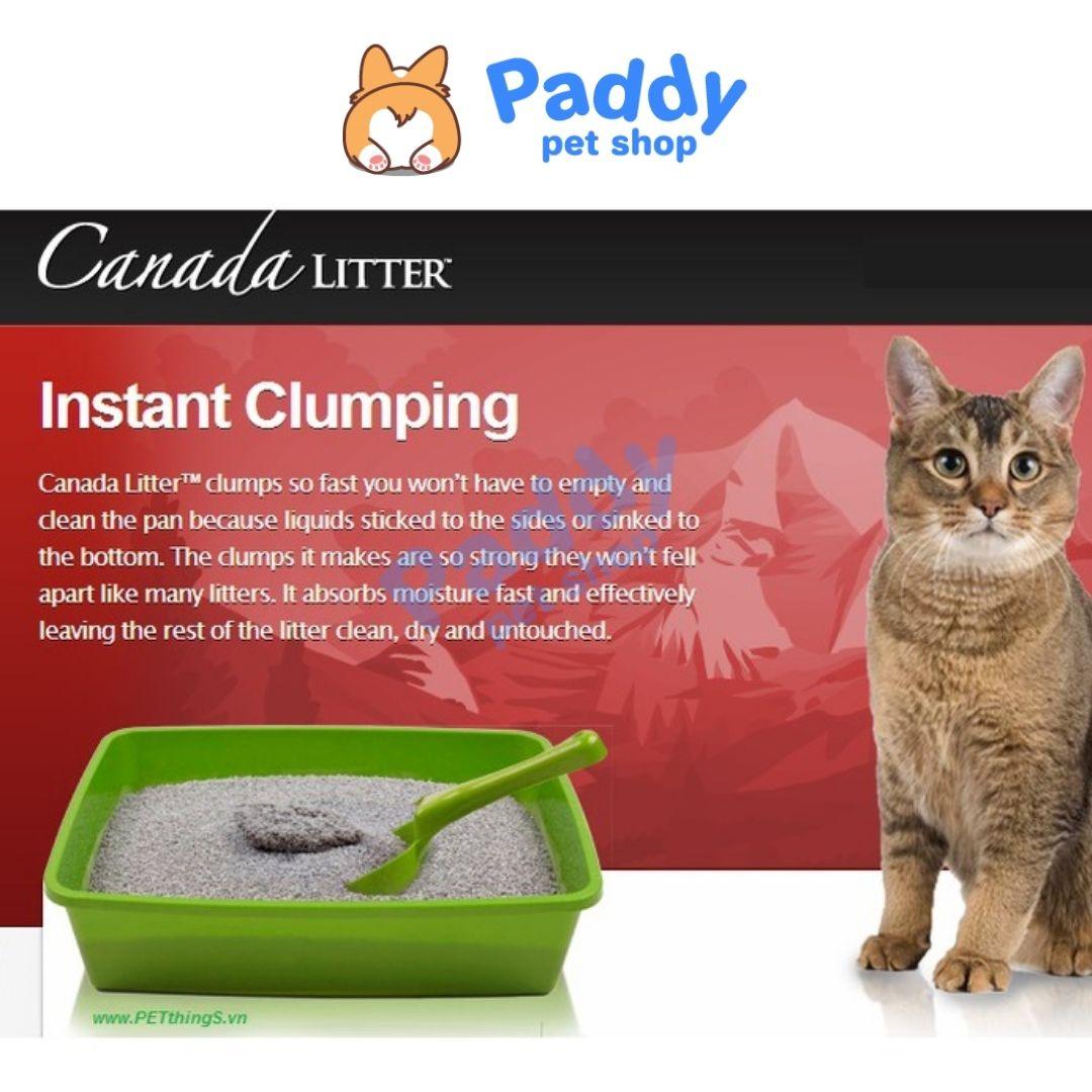 Cát Vệ Sinh Canada Litter Cao Cấp Cho Mèo - Paddy Pet Shop