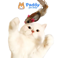 Chuột Lông Gà CattyMan Đồ Chơi Cho Mèo - Paddy Pet Shop