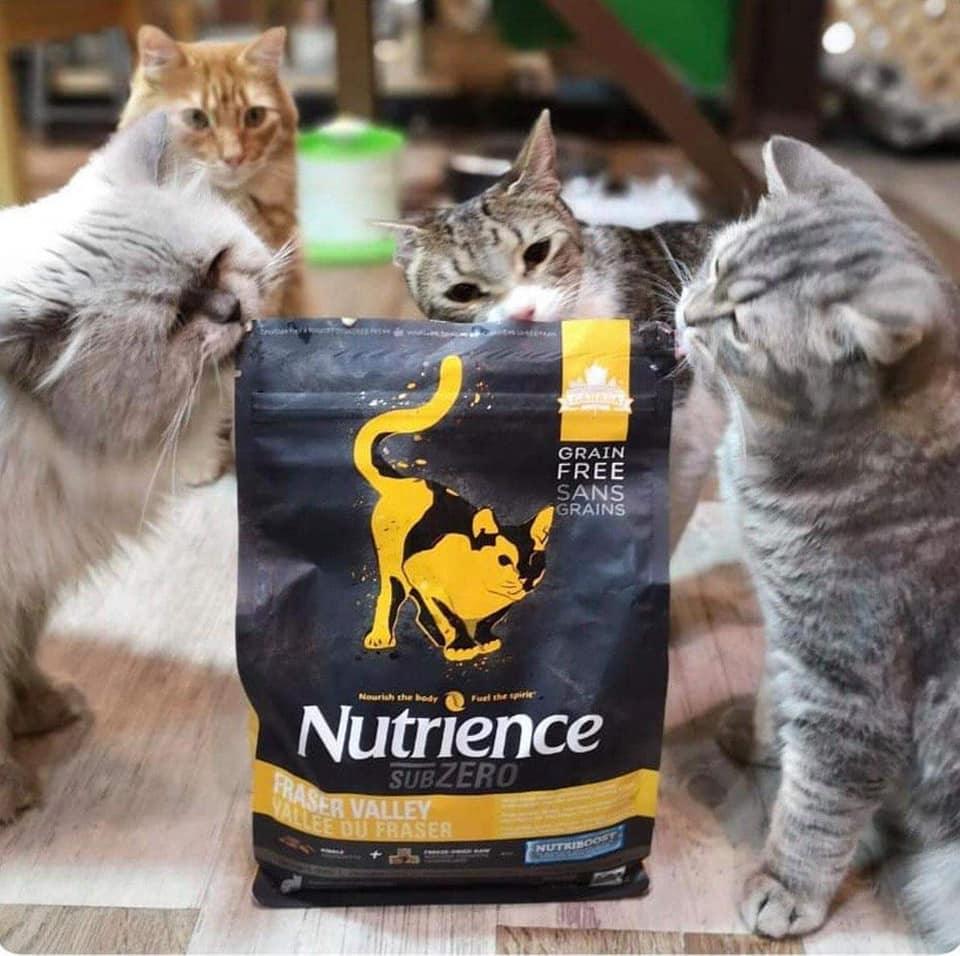 Hạt Cho Mèo Nutrience SubZero Fraser Valley Cat - Paddy Pet Shop