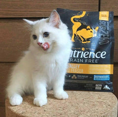 Hạt Cho Mèo Nutrience SubZero Fraser Valley Cat - Paddy Pet Shop