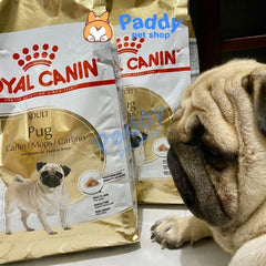 Thức Ăn Hạt Cho Chó Pug Trưởng Thành Royal Canin Pug Adult - Paddy Pet Shop