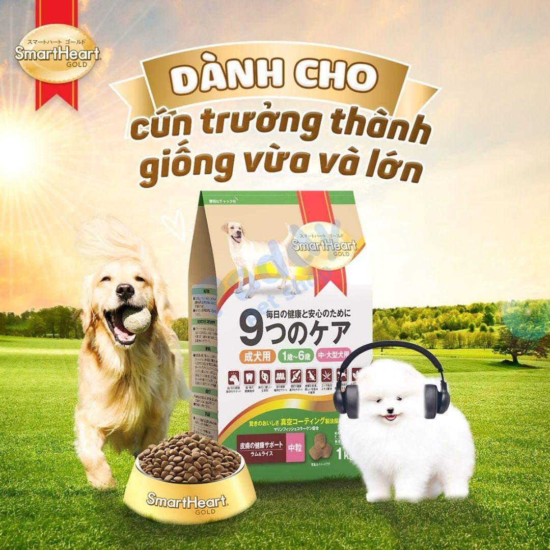Hạt Cho Chó Trưởng Thành SmartHeart Gold Cao Cấp Vị Cừu & Gạo - Paddy Pet Shop