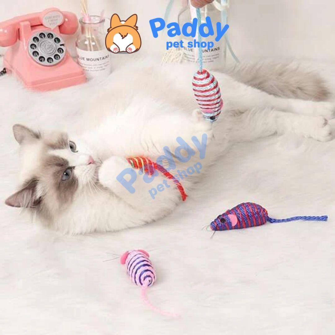 Hộp 6 Chuột Mini CattyMan Đồ Chơi Cho Mèo - Paddy Pet Shop