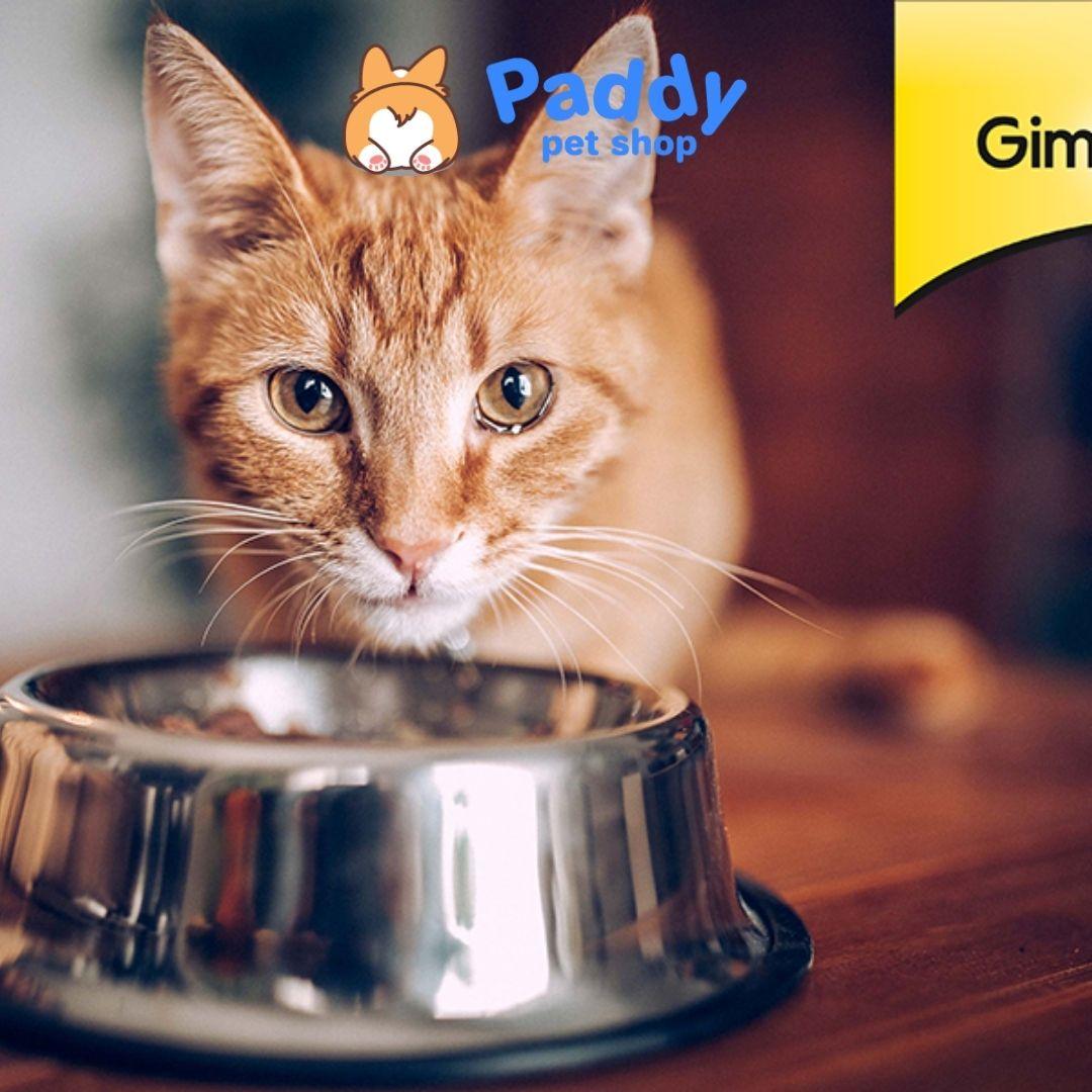 Pate GimCat Shiny Cat Filet Cho Mèo Mọi Lứa Tuổi (Lon 70g) - Paddy Pet Shop