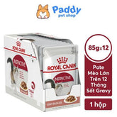 Pate Mèo Trưởng Thành Royal Canin Instinctive 85g - Paddy Pet Shop