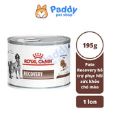 Pate Cho Chó Mèo Phục Hồi Sức Khỏe Royal Canin Recovery Lon 195g - Paddy Pet Shop