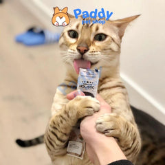 Súp Thưởng Cho Chó Mèo Absolute Holistic BISQUE 60g (Túi 5 tuýp) - Paddy Pet Shop