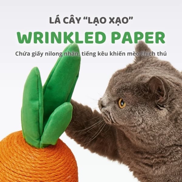 Bàn Cào Móng Mèo FOFOS Hình Trụ Cà Rốt 3
