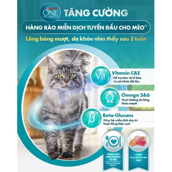 Hạt Cho Mèo Purina ONE Urinary Care 2