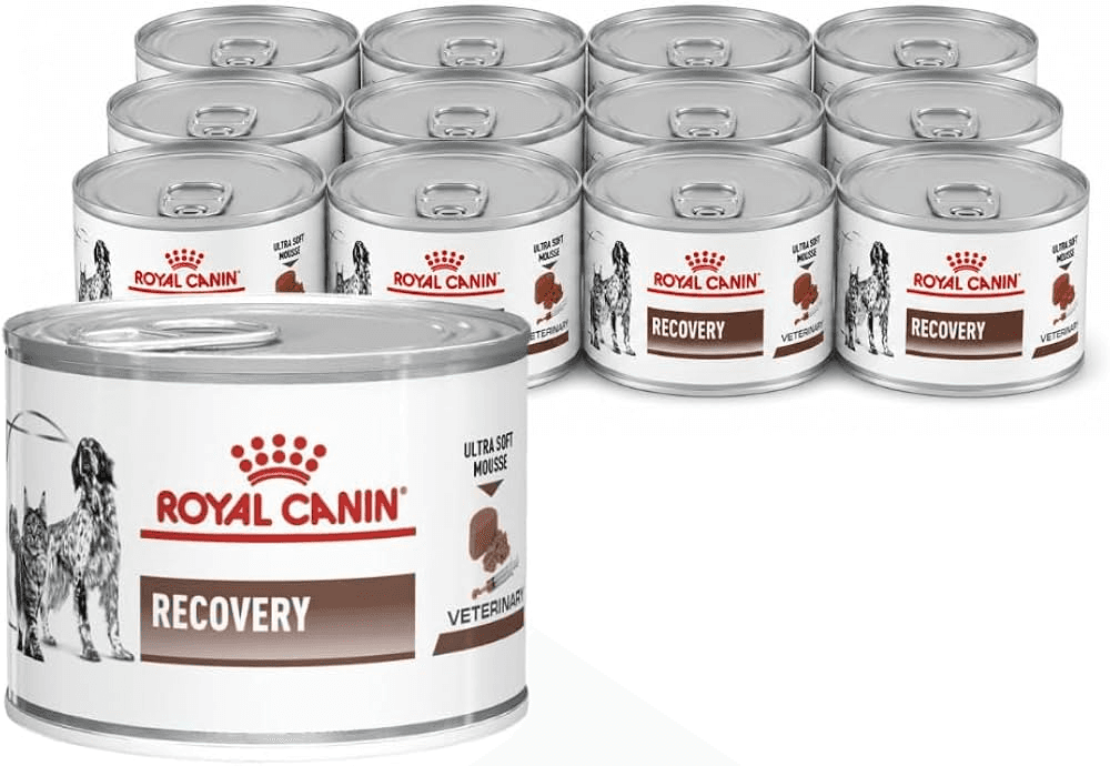 Pate Cho Chó Mèo Phục Hồi Sức Khỏe Royal Canin Recovery Lon 195g 4