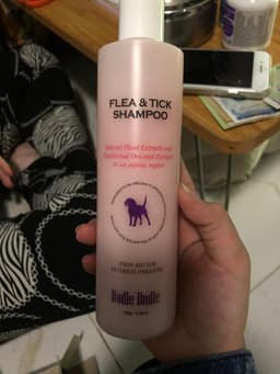 Review photo 1