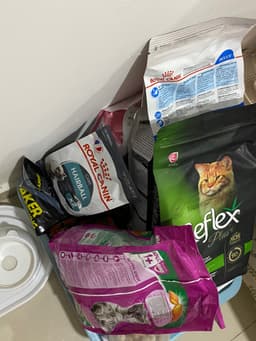 Review photo 1