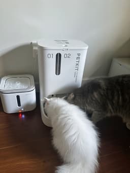 Review photo 1