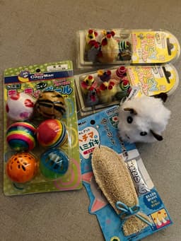 Review photo 1