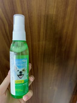 Review photo 1