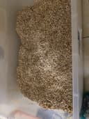 Review photo 1