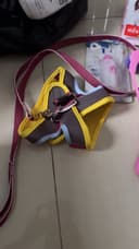 Review photo 1
