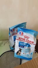 Review photo 1