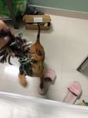 Review photo 1