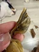 Review photo 1