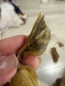 Review photo 1