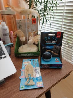 Review photo 1