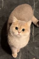 Review photo 1