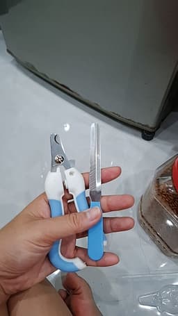 Review photo 1