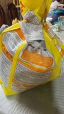 Review photo 1