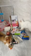 Review photo 1