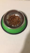 Review photo 1
