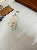 Review photo 2