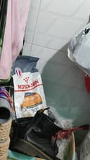 Review photo 1