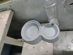 Review photo 1