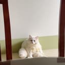 Review photo 1