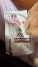 Review photo 1