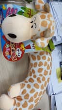 Review photo 1