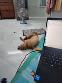 Review photo 1