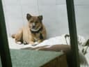 Review photo 1