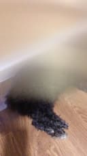 Review photo 1