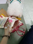 Review photo 1