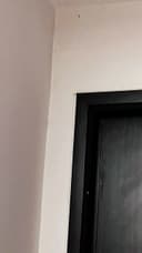 Review photo 1